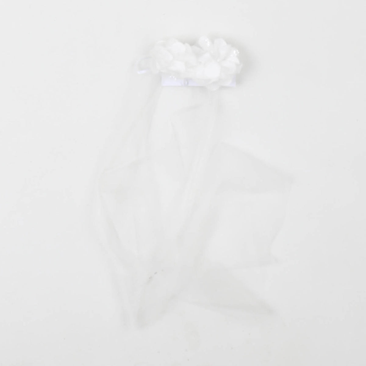 carlo pignatelli - FRONTINO