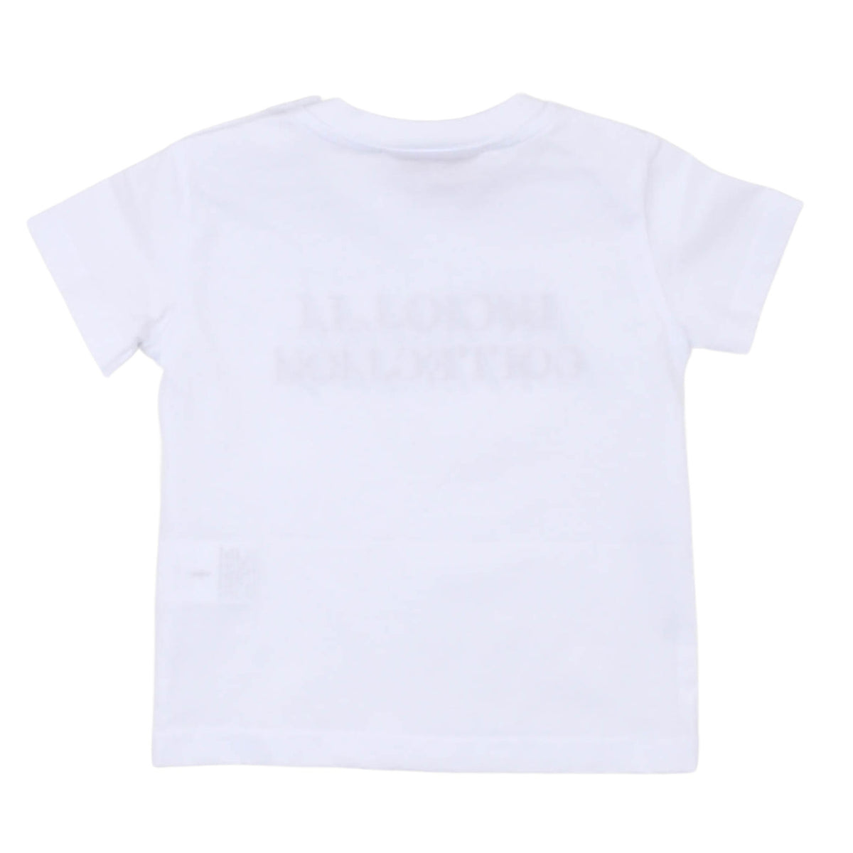 paciotti - T-shirt