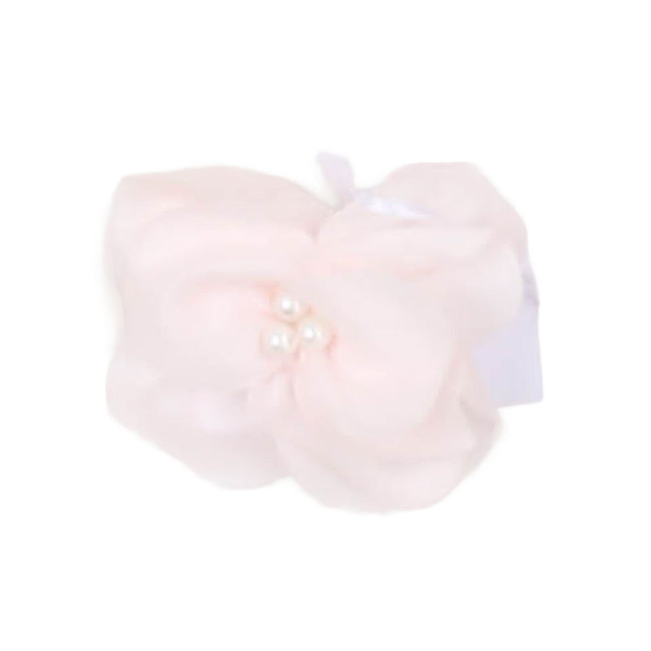 carlo pignatelli - Altri Accessori