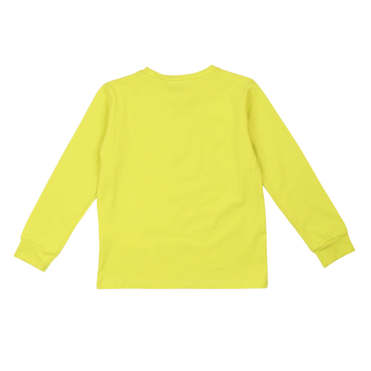 iceberg - T-SHIRT