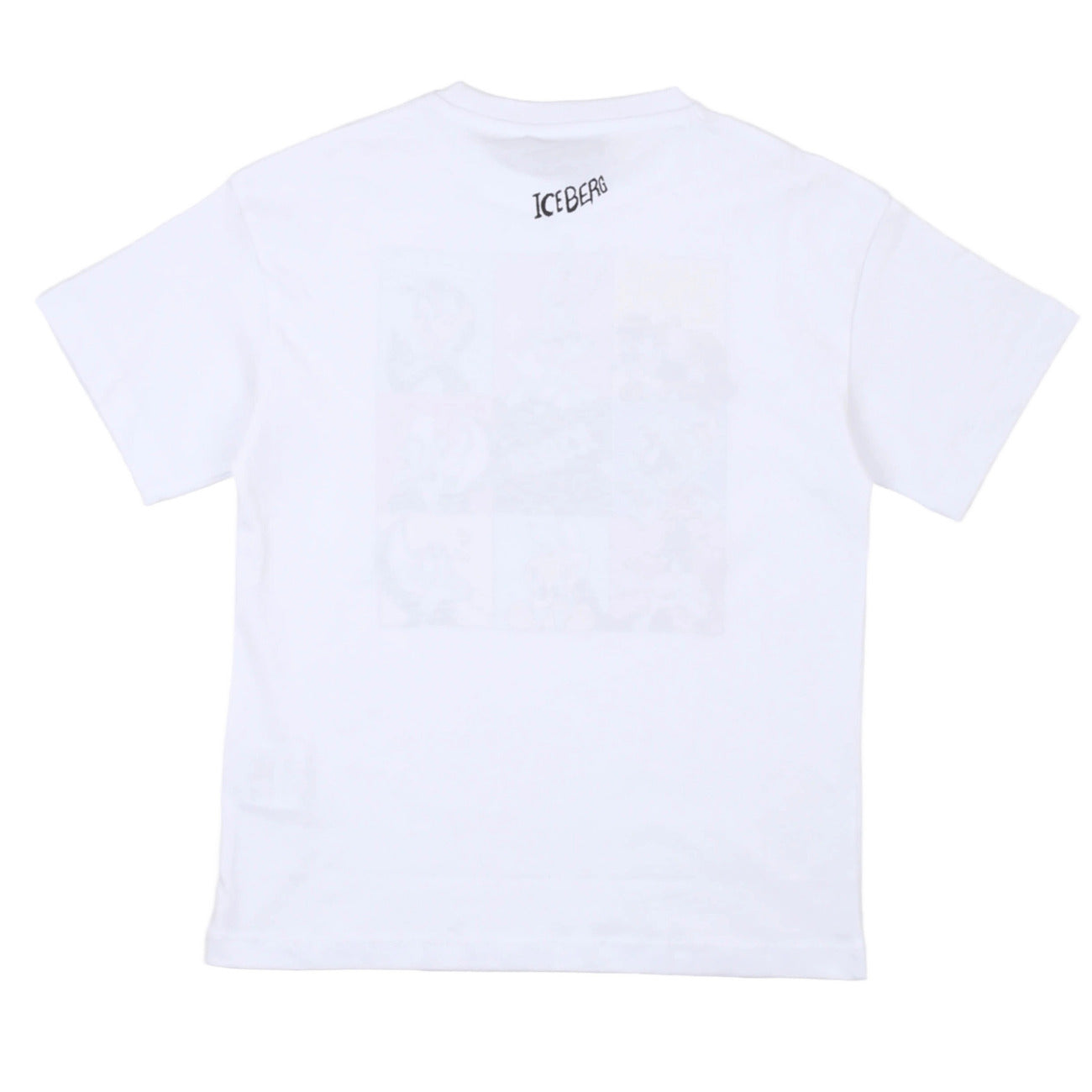 iceberg - t-shirt
