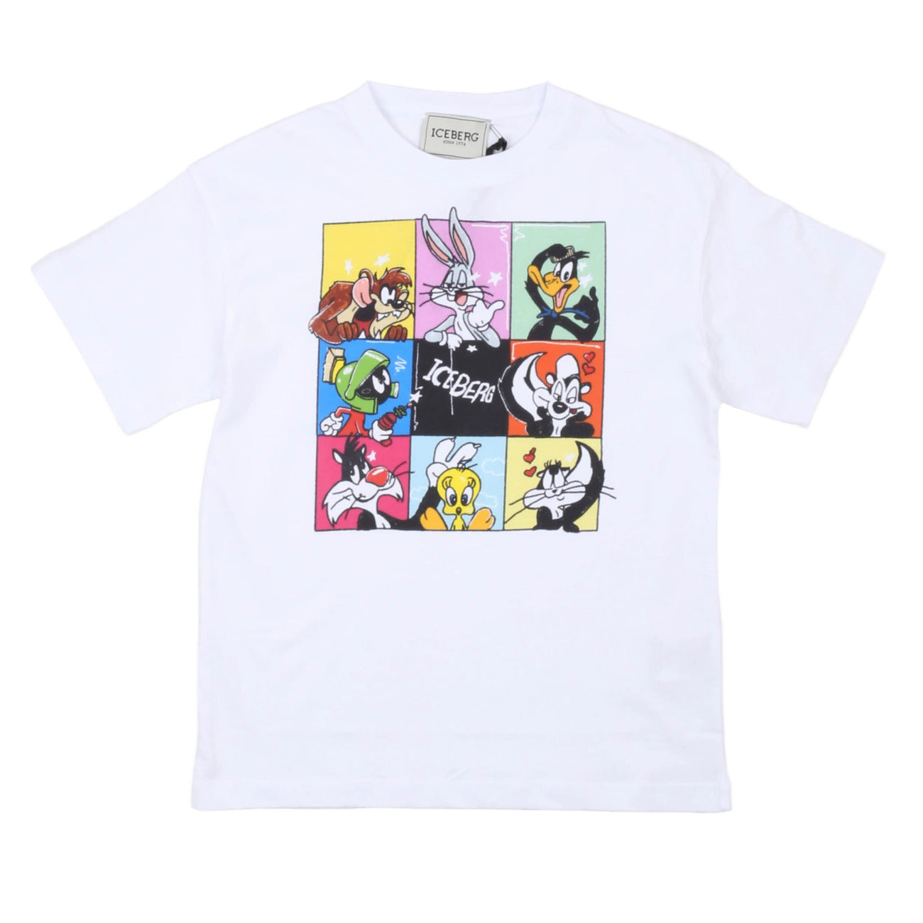 iceberg - t-shirt