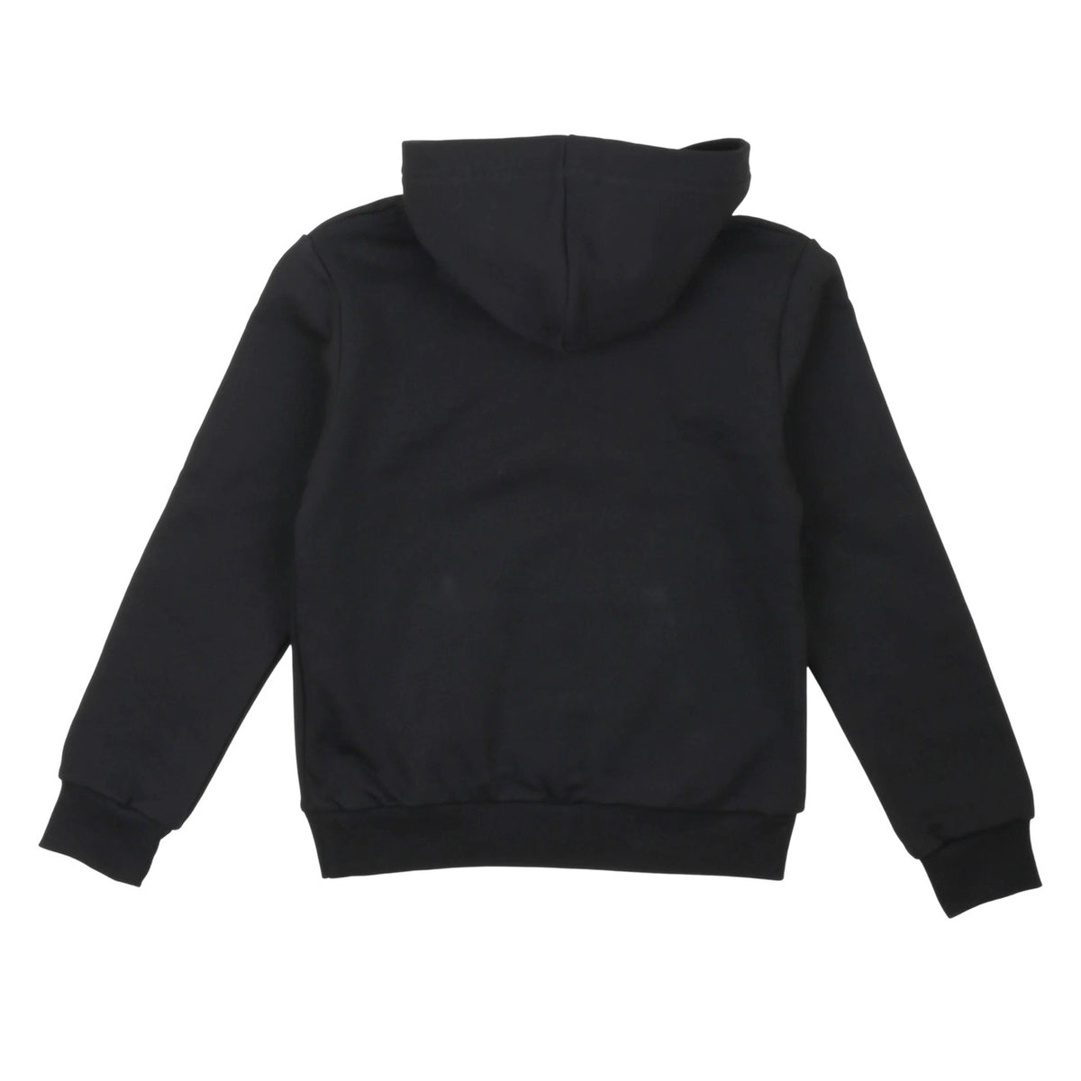 paciotti - Felpe